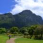 Kirstenbosch Botanical Gardens Cape Town
