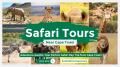 Cape Town Safari Tours