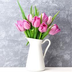 Tulip Garden Centre CC