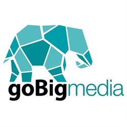 GoBig Media