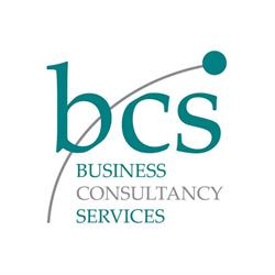 BUSINESS CONSULTANCY SERVICES