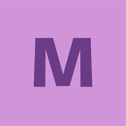 MALESH-LEKOLOANE ACCOUNTANTS