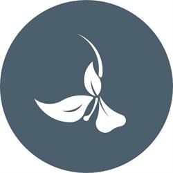Gingerlily Spa