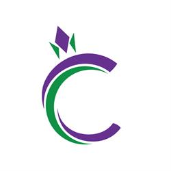 Creative Arts College