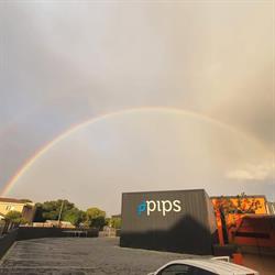 Pips Plettenberg Bay