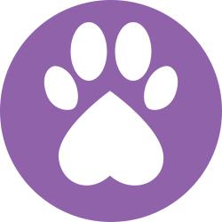 Waterkloof Glen Animal Hospital