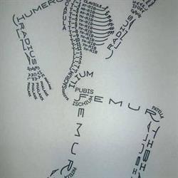 Westcoast Chiropractic Centre