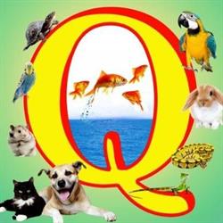 Qualipet