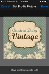 Gracious Daisy Vintage