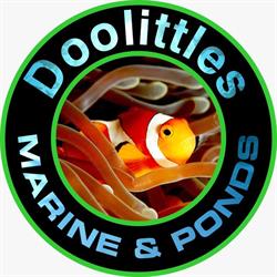 Doolittles Marine & Ponds
