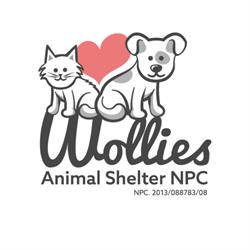Wollies Animal Project