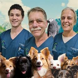 Groenkloof Dierekliniek/Animal Clinic