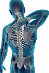 Marguerite Jay Physiotherapy