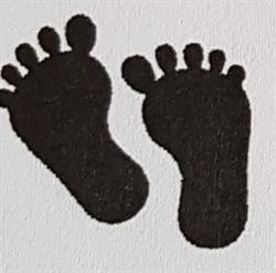 Little Feet Day Care