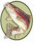 The Village Angler - Fly Fishing Dullstroom Tackle Shop