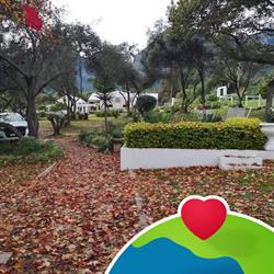 Dvine Estate Expo and Events