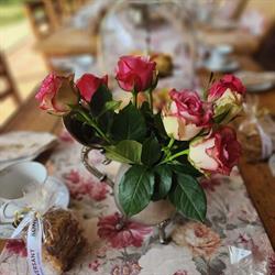 Anja's Tea Garden