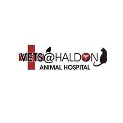 Vets at Haldon Animal Hospital