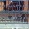 Burglar-Bars