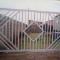 gates