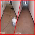 Carpet deep cleaning