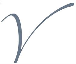 Veritas Accountants