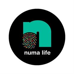 Numa Life Church