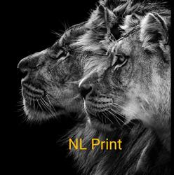 NL Print & Installation