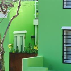 Green 15