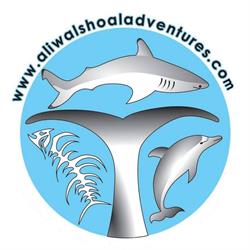 Aliwal Shoal Adventures