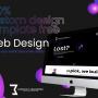 Website Design & Development