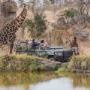 South Africa Safaris
