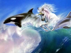 Unicorn dolphin group (Ltd) PTY