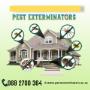 Pest Exterminators Cape Town