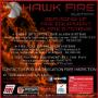 Hawk Fire Systems | Servicing Schedules
