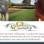 advert