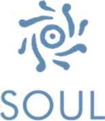 Soul Holistic Center & Crystal Shop