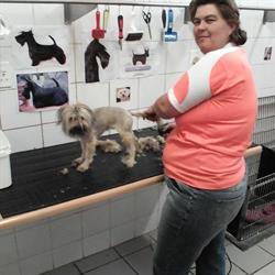 Tossels en Krulle Honde Salon