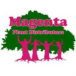 Magenta Plant Distributors cc.
