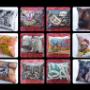 Art on Cushions