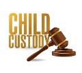 legal service providers
