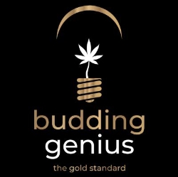 Budding Genius