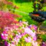 Garden Protection