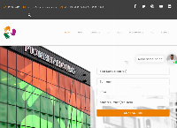 Pioneer Debt Solutions's website