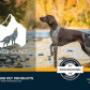 Dog Grooming Products
