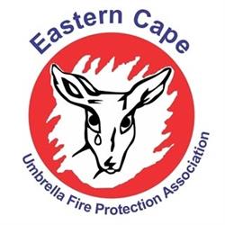 EC UFPA