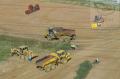 Forklift Training school