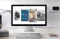 Standard website design