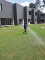 Harvest termites treatment