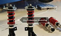 Shock Absorber Renewing